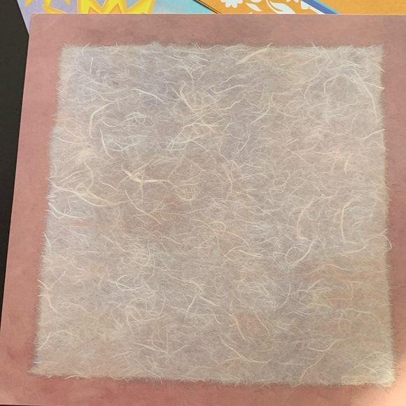 18 12x12 scrapbook pages. 3 of each pattern - Picture 2 of 7